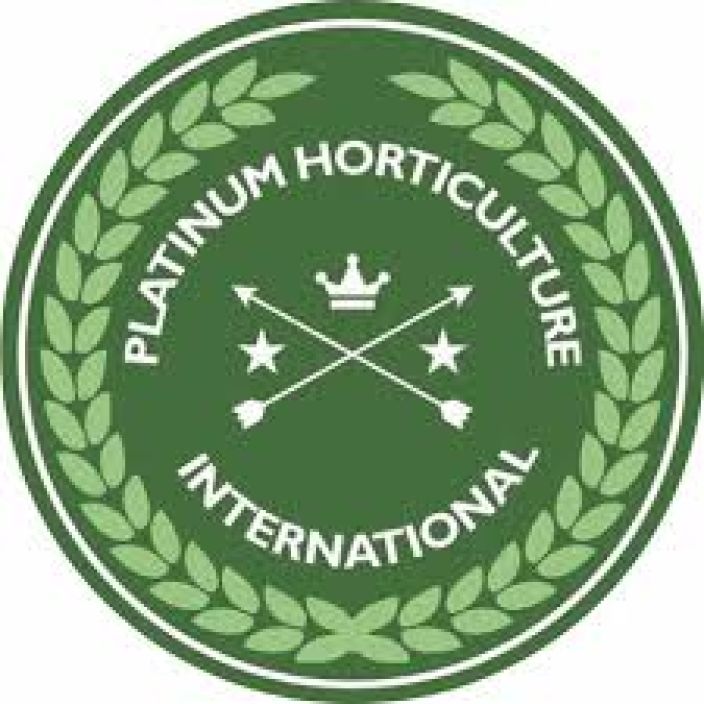 PLATINUM logo