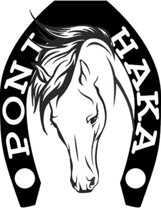 PONI-HAKA OY logo