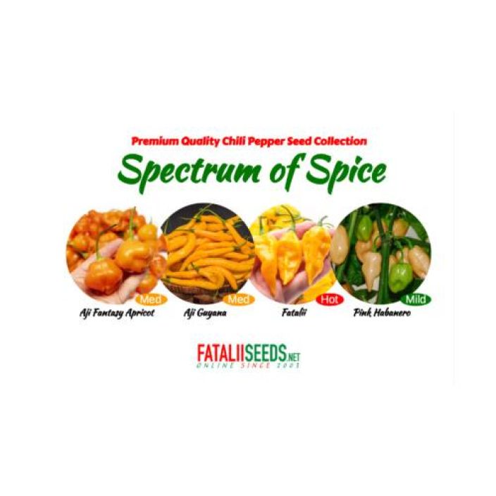 Fatalii Seeds: Spectrum Of Spice Koe erittain maukkauden chilien kirjo miedosta sopivan tuliseen
