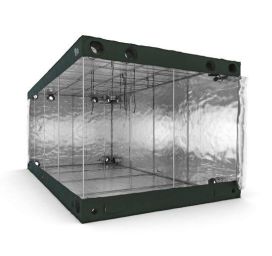 ROYAL ROOM Kasviteltta, Royal Room C600H 600x300x250