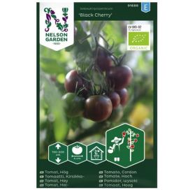 NELSON GARDEN Tomaatti, Kirsikka-, Black Cherry Organic 