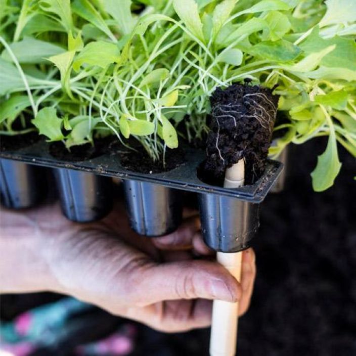 Pienoiskasvihuone, Pikkukennosto 3kpl, Nelson 5776 tuotekuva 1