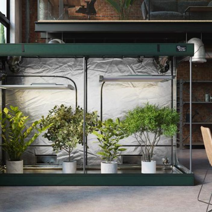 Kasviteltta, Royal Room 2.0 C200S, 200x100x200cm tuotekuva 6 Kasviteltta, Royal Room 2.0 C200S, 200x100x200cm tuotekuva 6