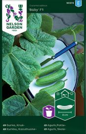 NELSON GARDEN Kurkku, Kasvihuone-, Baby F1