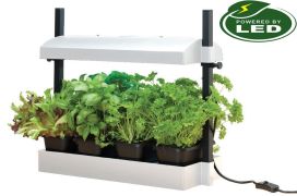 GARLAND Pöytäpuutarha Grow Light Micro LED, valkoinen
