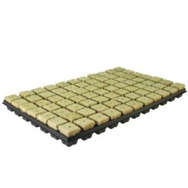 GRODAN Kivivilla, Tray 77kpl 35x35x40mm